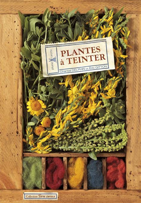 plantes a teinter