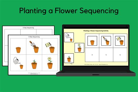 Planting A Flower Sequencing Activity Plants Twinkl Steps To Planting A Seed Worksheet - Steps To Planting A Seed Worksheet
