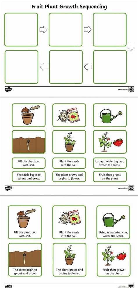 Planting A Seed Sequence Worksheet Live Worksheets Steps To Planting A Seed Worksheet - Steps To Planting A Seed Worksheet