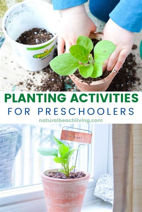 Planting Activities For Preschoolers And Diy Garden Markers Kindergarten Planting - Kindergarten Planting