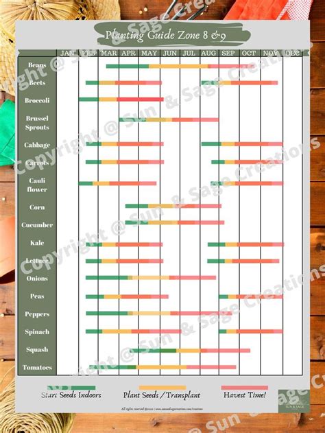 planting guide zone 8 9 printable downloadable vegetables etsy zone 8