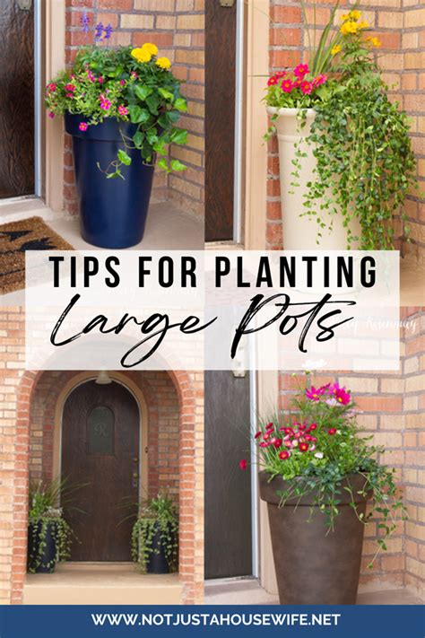 planting in large containers tips
