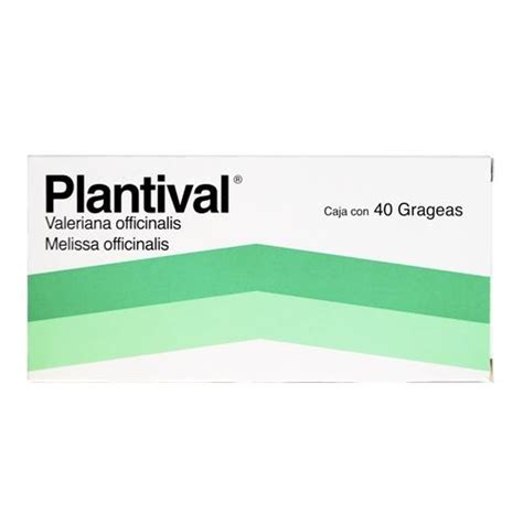 plantival-4