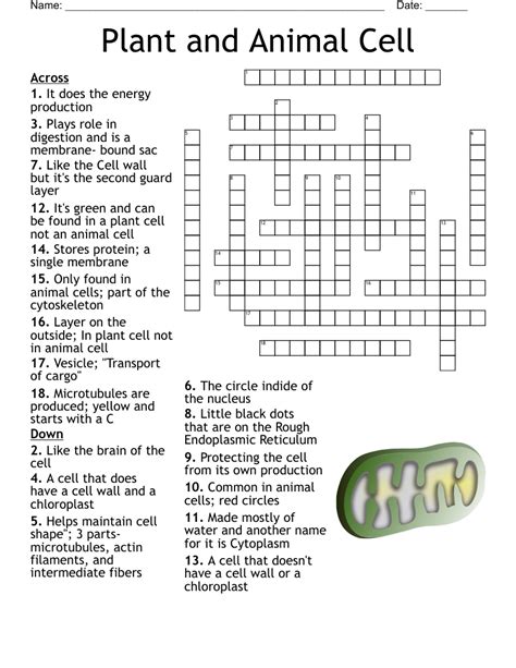 Plants And Animals Crossword Puzzle Worksheet For 6th Inspired Educators Inc Crossword Puzzle Answers - Inspired Educators Inc Crossword Puzzle Answers