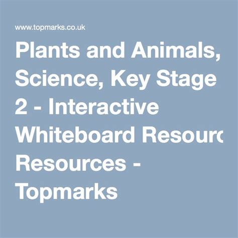 Plants And Animals Science Key Stage 1 Interactive Plant And Animal Science - Plant And Animal Science
