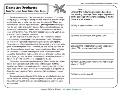 Plants Are Producers 5th Grade Reading Comprehension Worksheet Worksheet On Plant 5th Grade - Worksheet On Plant 5th Grade