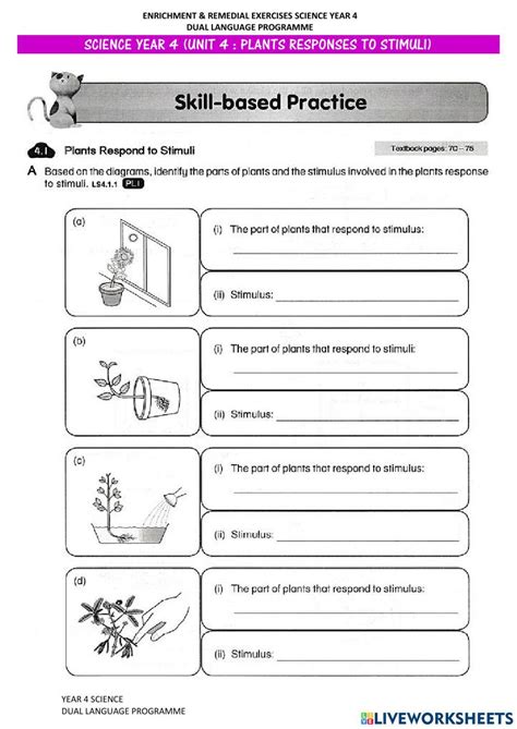 Plants Responses To Stimuli Worksheet Live Worksheets Stimulus And Response Worksheet Answer Key - Stimulus And Response Worksheet Answer Key