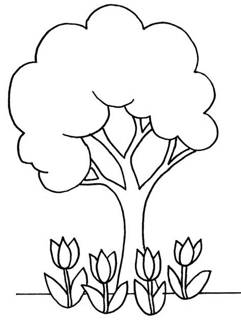 Plants Trees Amp Flowers Free Coloring Pages Crayola Printable Plant Coloring Pages - Printable Plant Coloring Pages