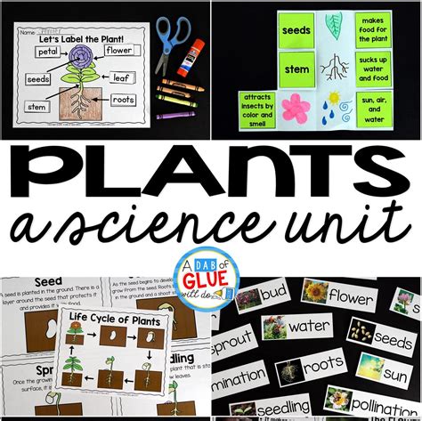 Plants Unit Powerpoint Lessons Printables A Dab Of Garden Tracker Worksheet 2nd Grade - Garden Tracker Worksheet 2nd Grade