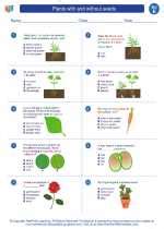 Plants With And Without Seeds 5th Grade Science Worksheet On Plant 5th Grade - Worksheet On Plant 5th Grade