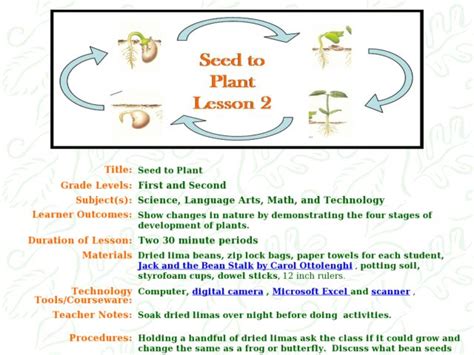 Plants With Seeds Lesson Plan Types Monocots Dicots Monocot Or Dicot Worksheet Answers - Monocot Or Dicot Worksheet Answers