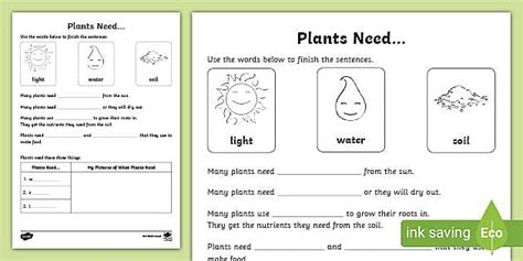 Plants Worksheet Primary Resources Twinkl Teacher Made Plant Needs Worksheet Second Grade - Plant Needs Worksheet Second Grade