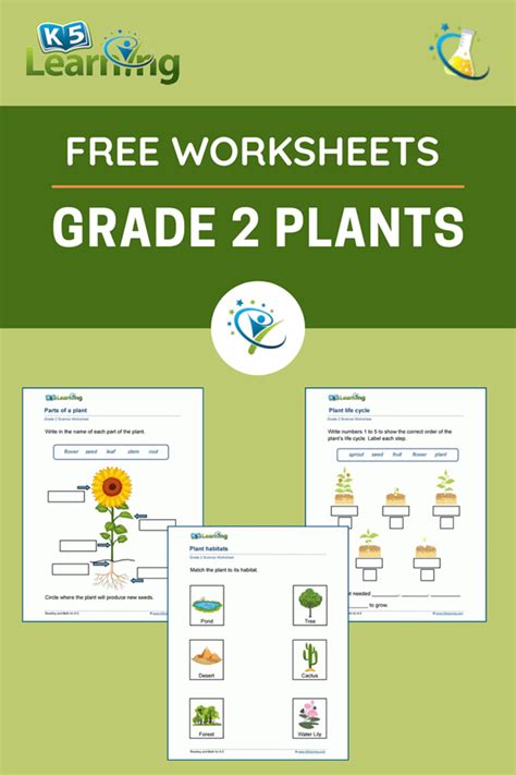 Plants Worksheets K5 Learning Plant Vocabulary Worksheet - Plant Vocabulary Worksheet