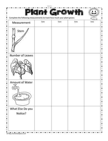 Plants X27 Growth Worksheets Plant Growth Worksheet - Plant Growth Worksheet