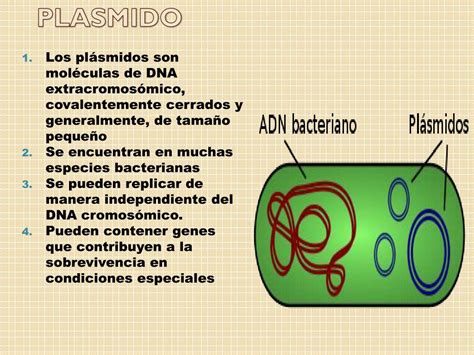 plasmidos