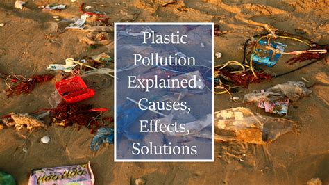 Plastic Pollution Definition Sources Effects Solutions Amp Facts Plastic Science - Plastic Science