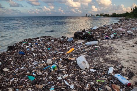 Plastic Pollution Is A Huge Problem And It Plastic Science - Plastic Science