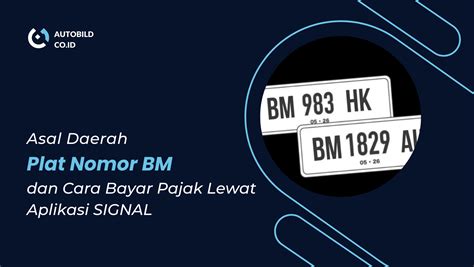 plat bm | VI LNG CHELATE BM 10g BMFE