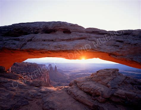 Plateau Light