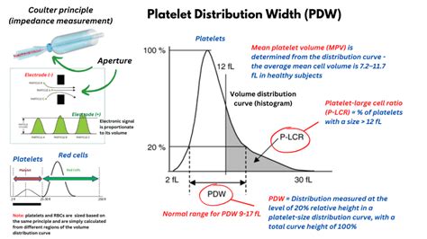 Platelet Distribution Width