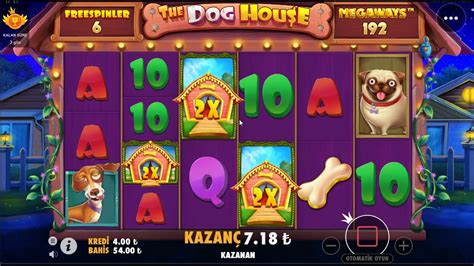 platin casino doghouse ikdj