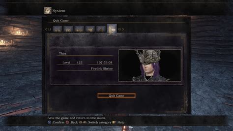 Platinum Guide Ds1