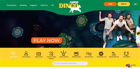 play dingo casino