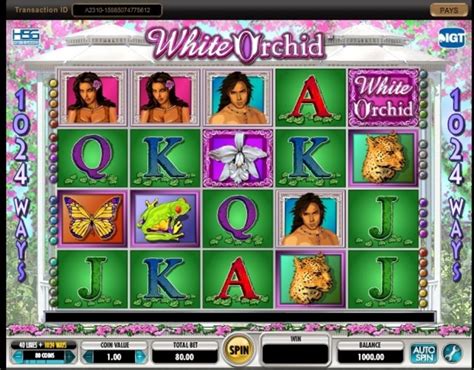play white orchid slots online free