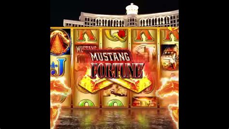 Players Paradise Casino Slots 4 12 Apk Download - Jos Slot