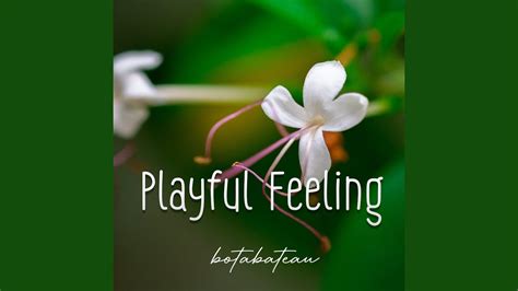 playful feeling definition