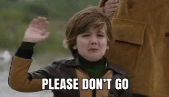 Please Don't Go