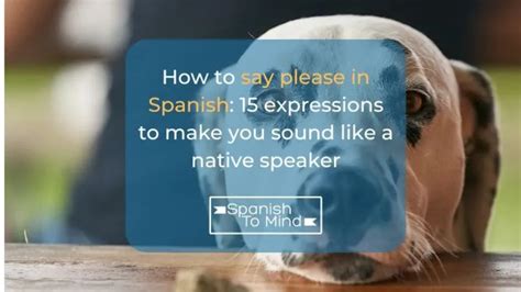 Please In Spanish