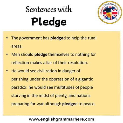 pledged account - English definition, grammar