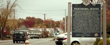 plethora maine