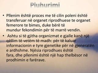 Pllenimi Artificial Te Njeriu