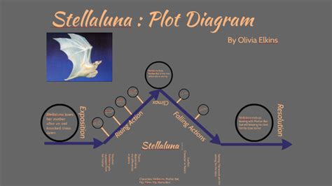 plot diagram of stellaluna