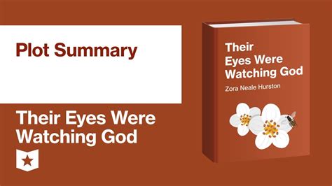 Plot Summary Of Their Eyes Are Watching God