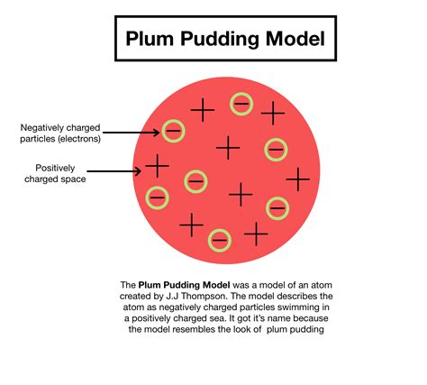 Plum (raisin) Pudding Model