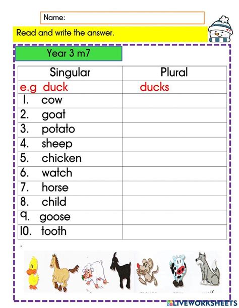 Plural And Singular Nouns Live Worksheets Singular Nouns Worksheet - Singular Nouns Worksheet