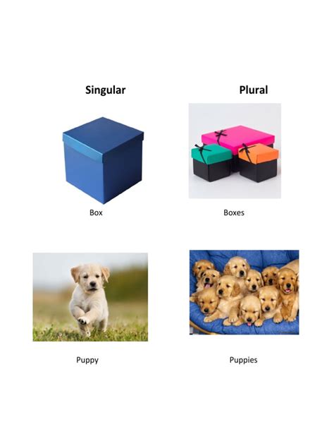 Plural De Boxes