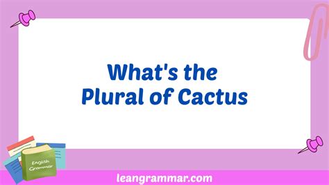 Plural Form Of Cactus