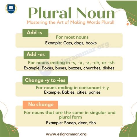 Plural Noun Definition Structure Usage And Useful Examples Plurals S And Es - Plurals S And Es