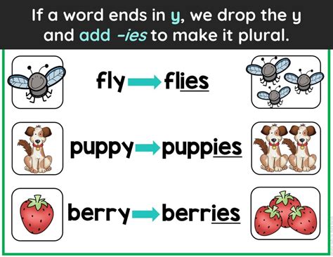 Plural Nouns Drop Y And Add Ies Teaching Drop Y Add Ies - Drop Y Add Ies