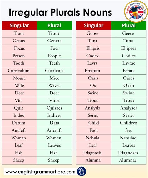 Plural Nouns Regular And Irregular Plurals In English Plural Words That End In Ies - Plural Words That End In Ies