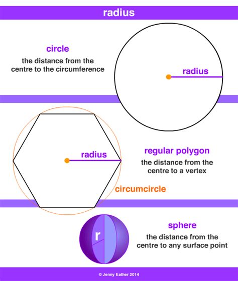 Plural Of Radius