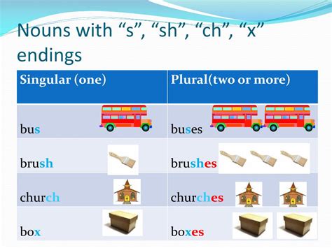 Plurals For Singulars Ending In Sh English For Nouns Ending With Ch - Nouns Ending With Ch