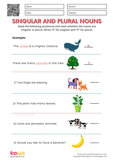 Plurals Practice Worksheets For Class 1 Learnbuddy In One And Many Es Words - One And Many Es Words