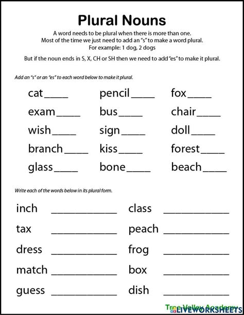 Plurals Worksheets Pdf Handouts To Print Printable Exercises Singular Plural Nouns Worksheet - Singular Plural Nouns Worksheet