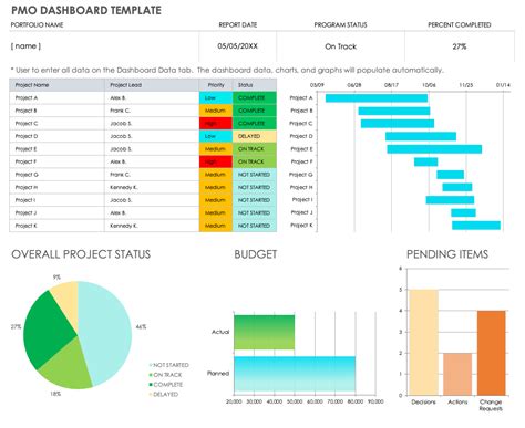 Pmo Dashboard Template