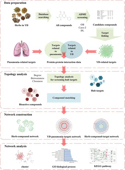 Pneumonia Treatment Chart